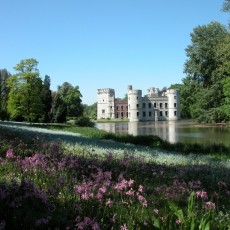 Musée des Sciences naturelles