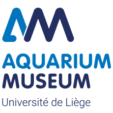 Aquarium Museum Liège